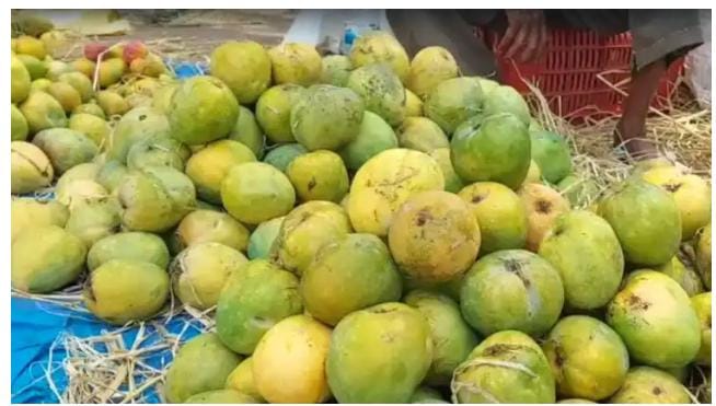 ಕಬ್ಬನ್ ಪಾರ್ಕ್ ಮಾವು-ಹಲಸು ಮೇಳಕ್ಕೆ ಭಾರೀ ಬೇಡಿಕೆ: 2 ದಿನದಲ್ಲಿ 7 ಟನ್ಗೂ ಹೆಚ್ಚು ಮಾರಾಟ.!